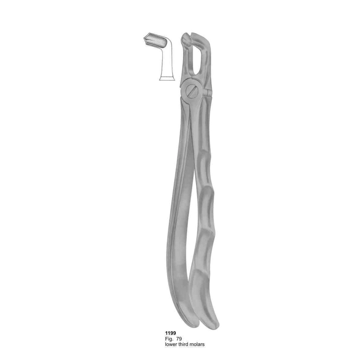 Extracting Forceps (With Fitting Handle)