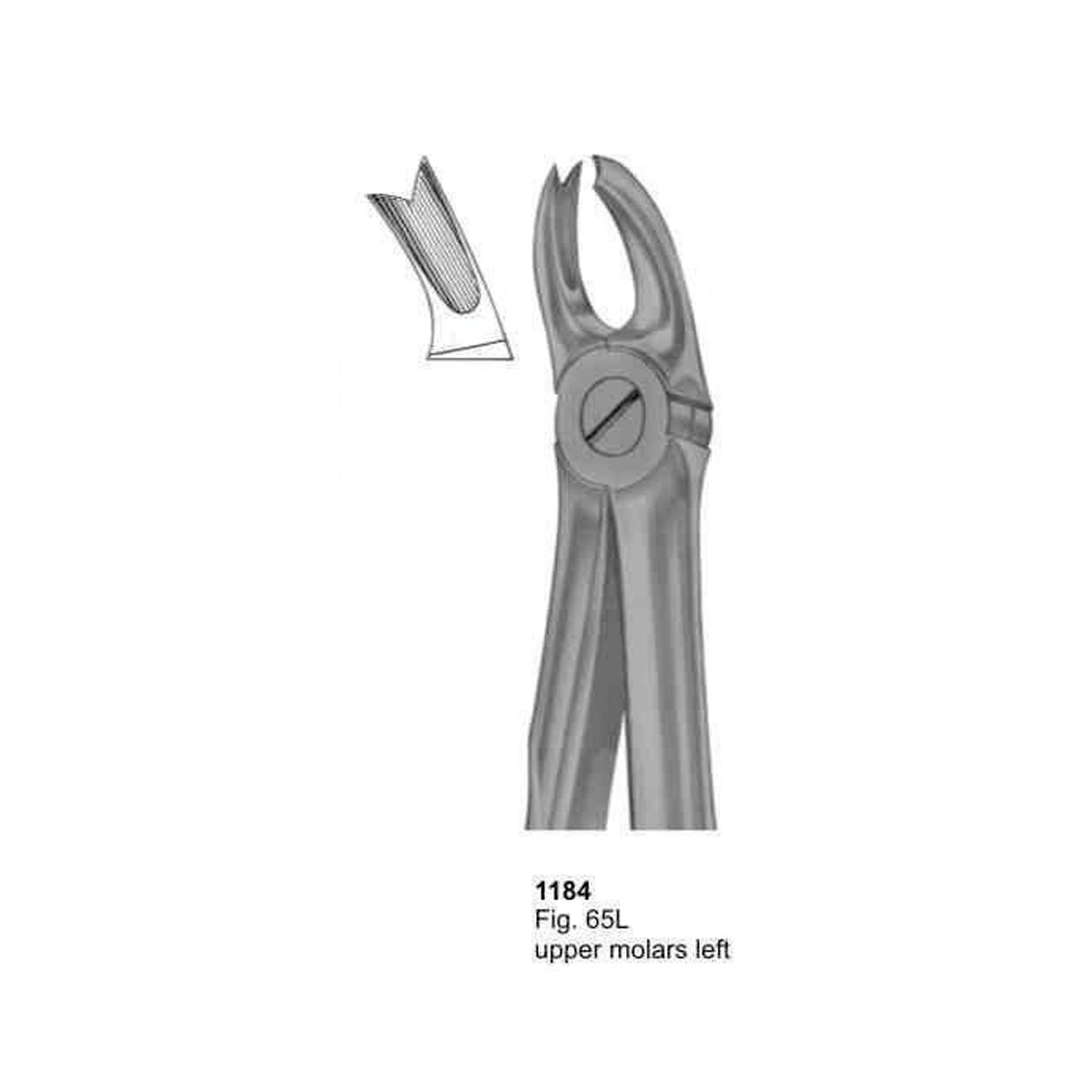 Extracting Forceps (With Fitting Handle)