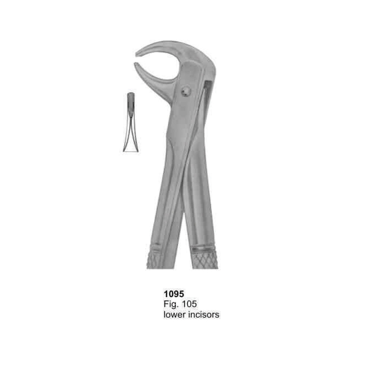 Extracting Forceps (English Pattern)