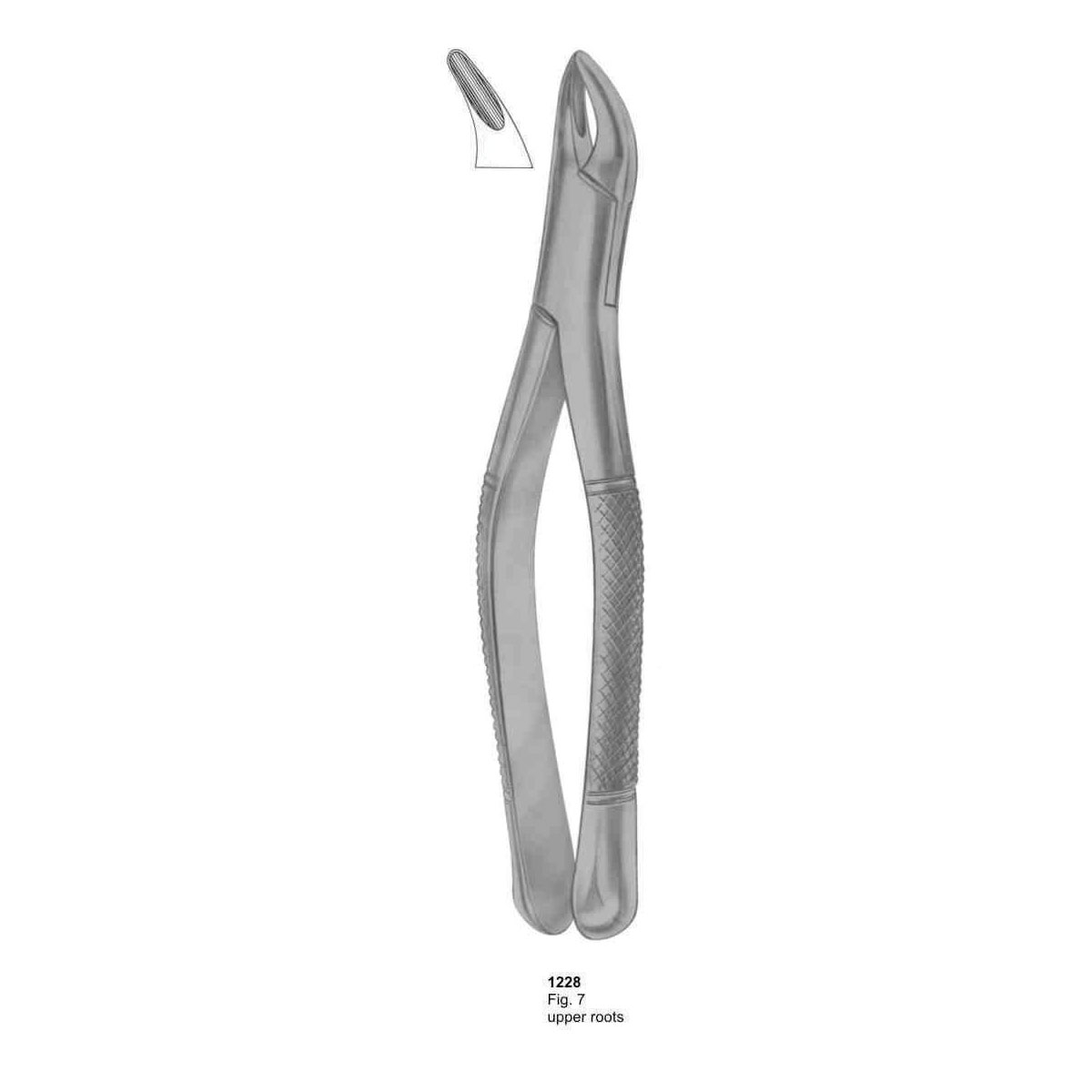 Extracting Forceps (American Pattern)