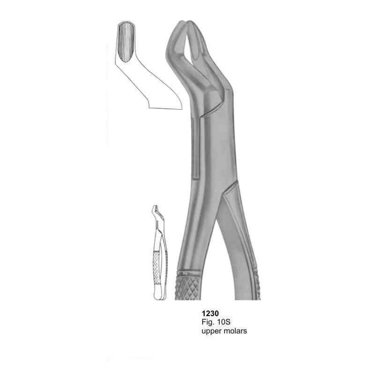 Extracting Forceps (American Pattern)