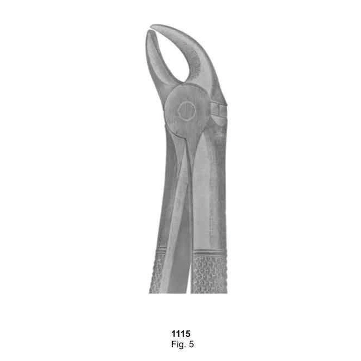 Extracting Forceps (English Pattern)