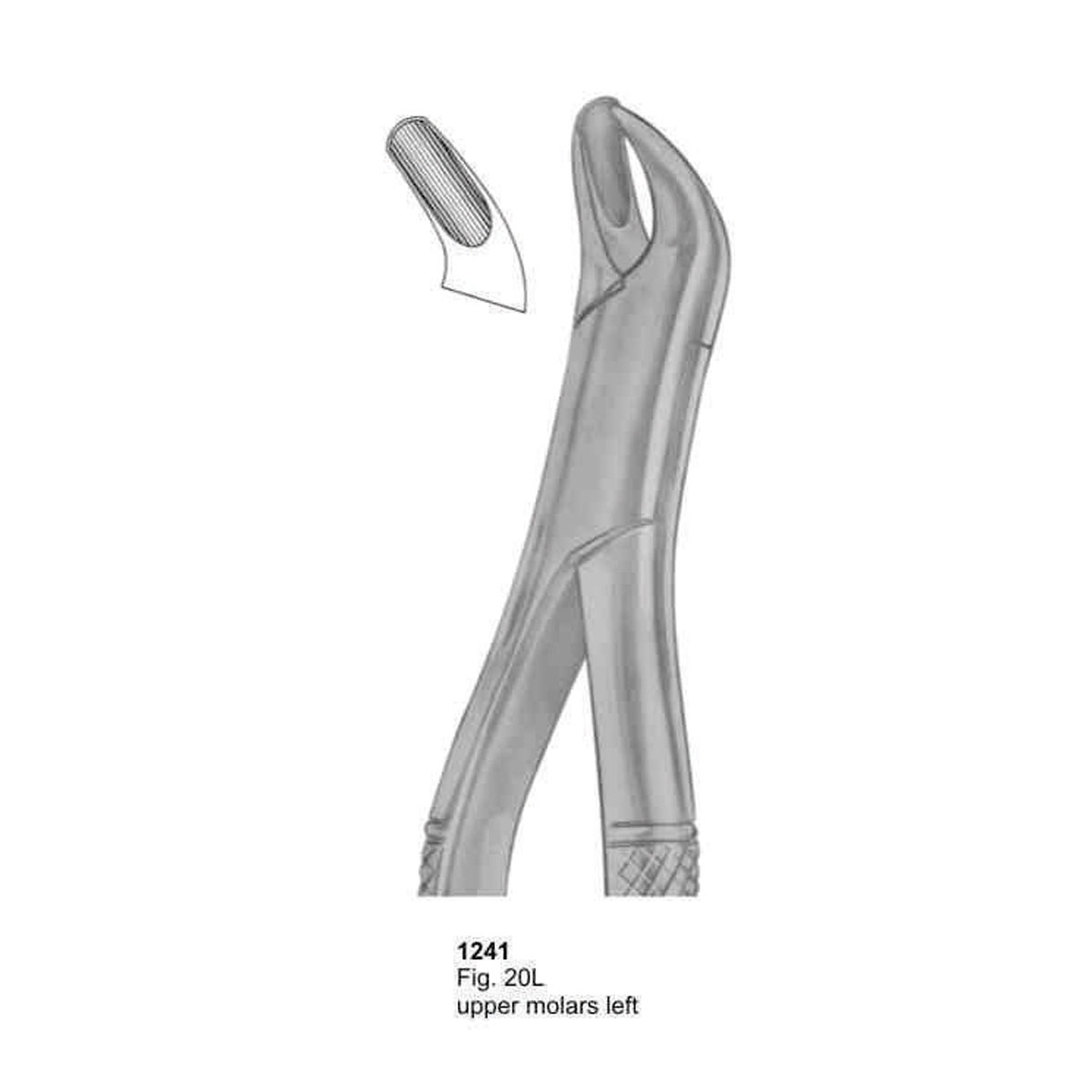 Extracting Forceps (American Pattern)