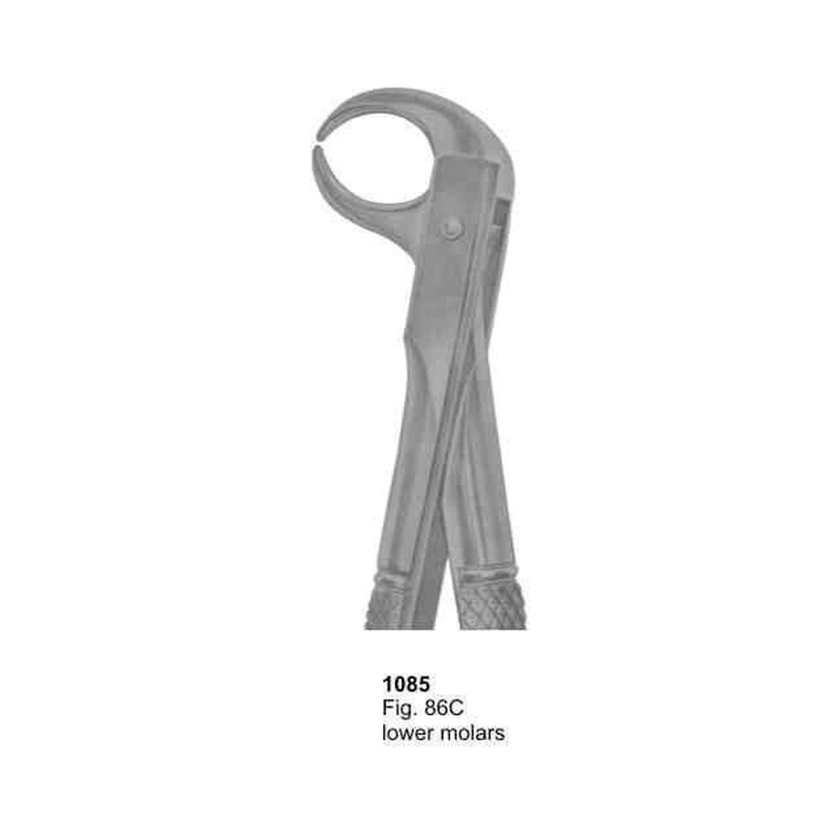 Extracting Forceps (English Pattern)