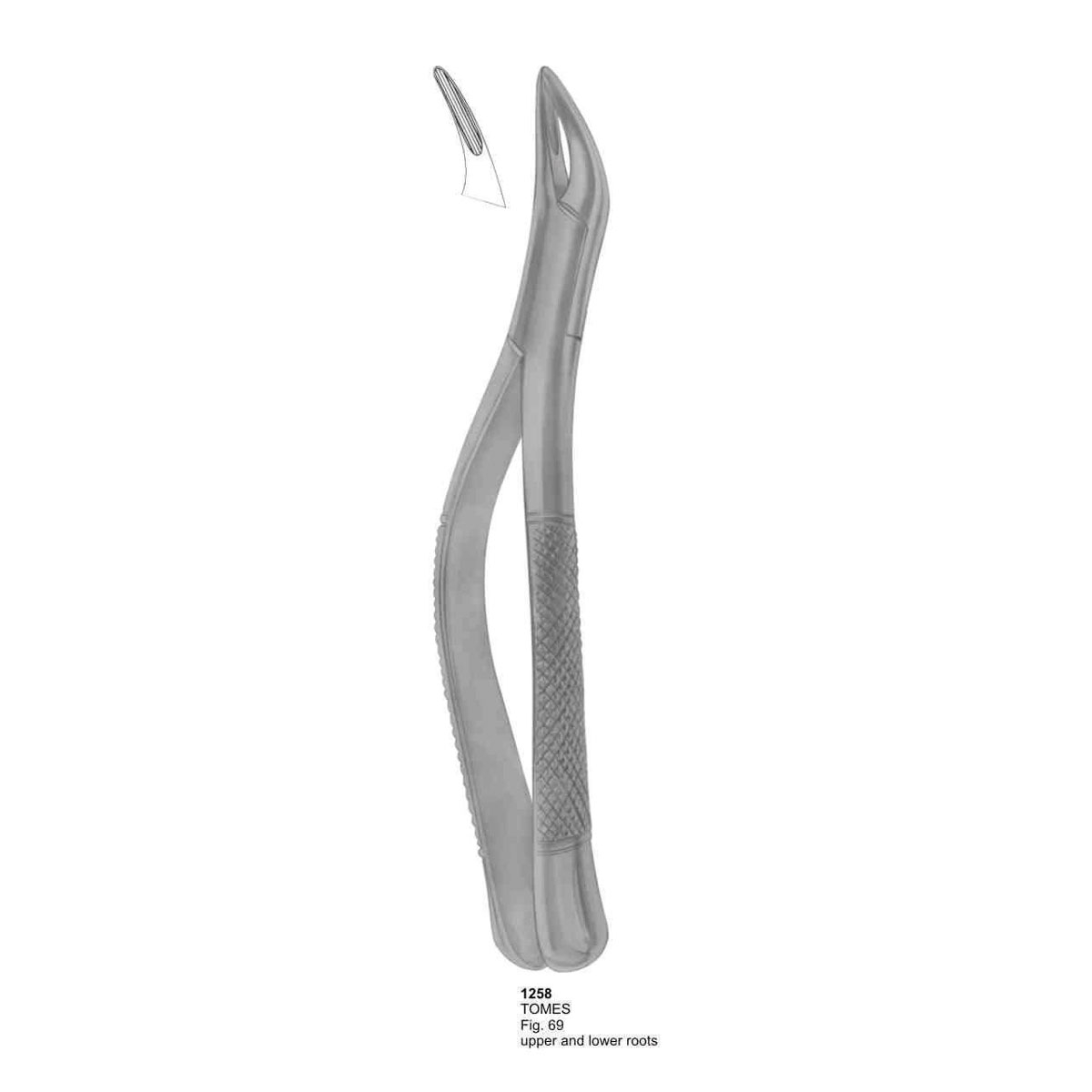 Extracting Forceps (American Pattern) 