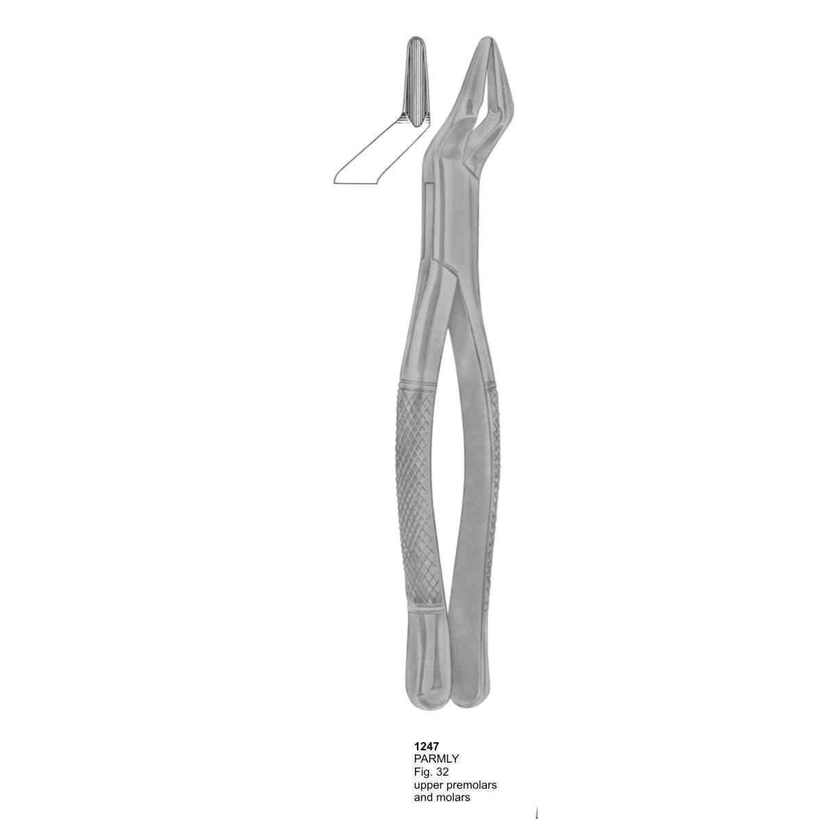 Extracting Forceps (American Pattern)  