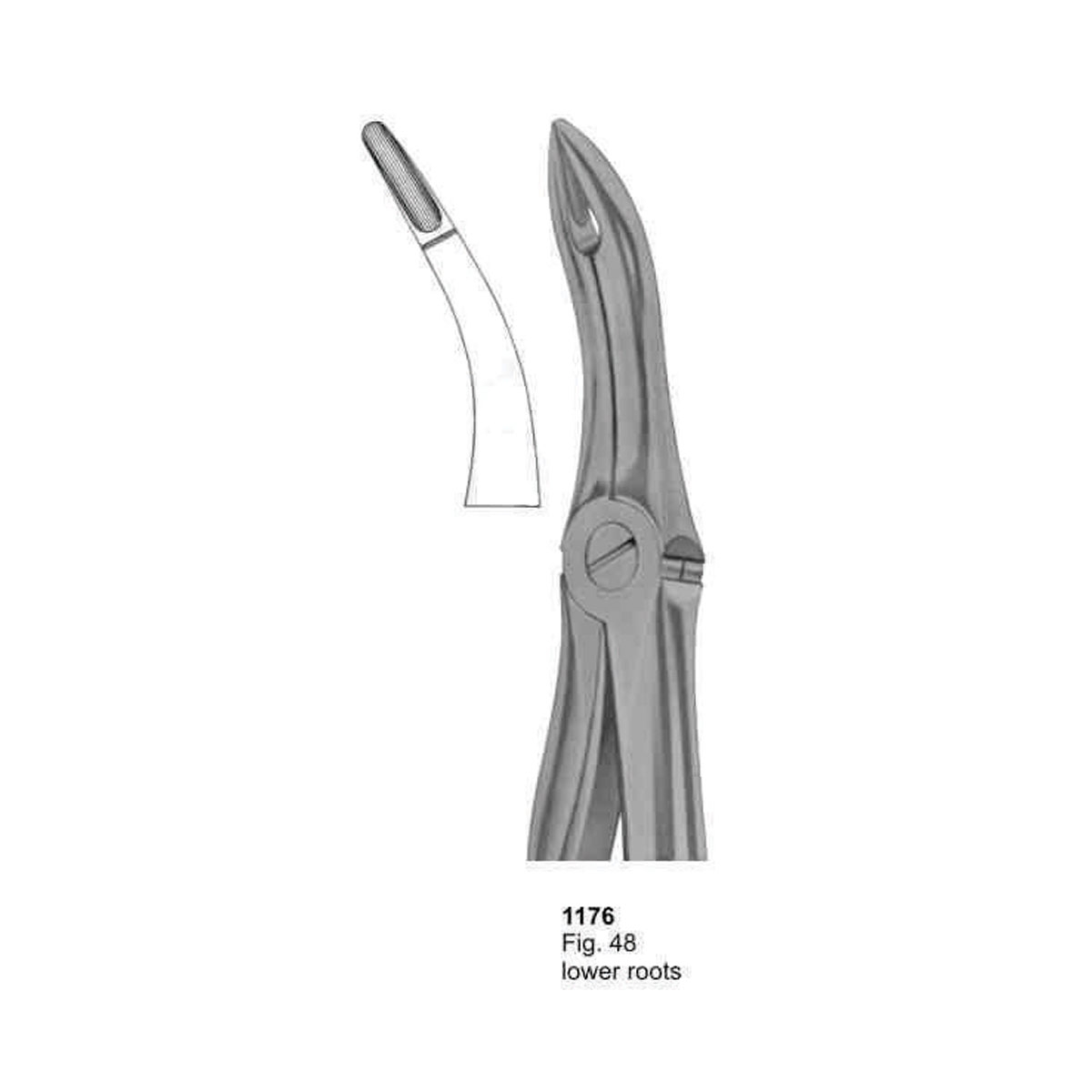 Extracting Forceps (With Fitting Handle)