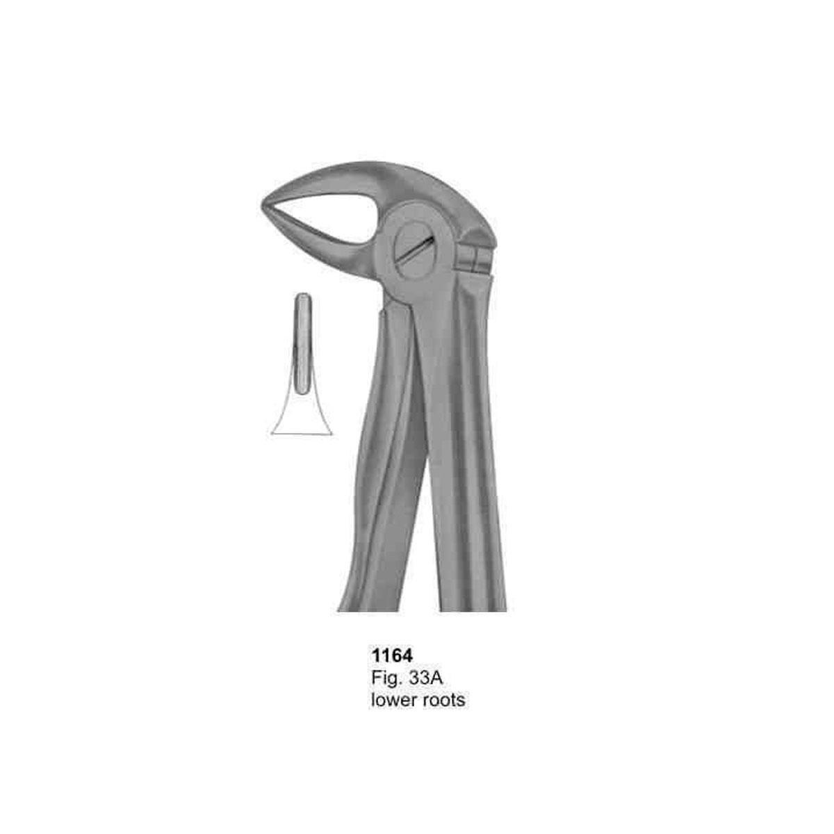 Extracting Forceps (With Fitting Handle)