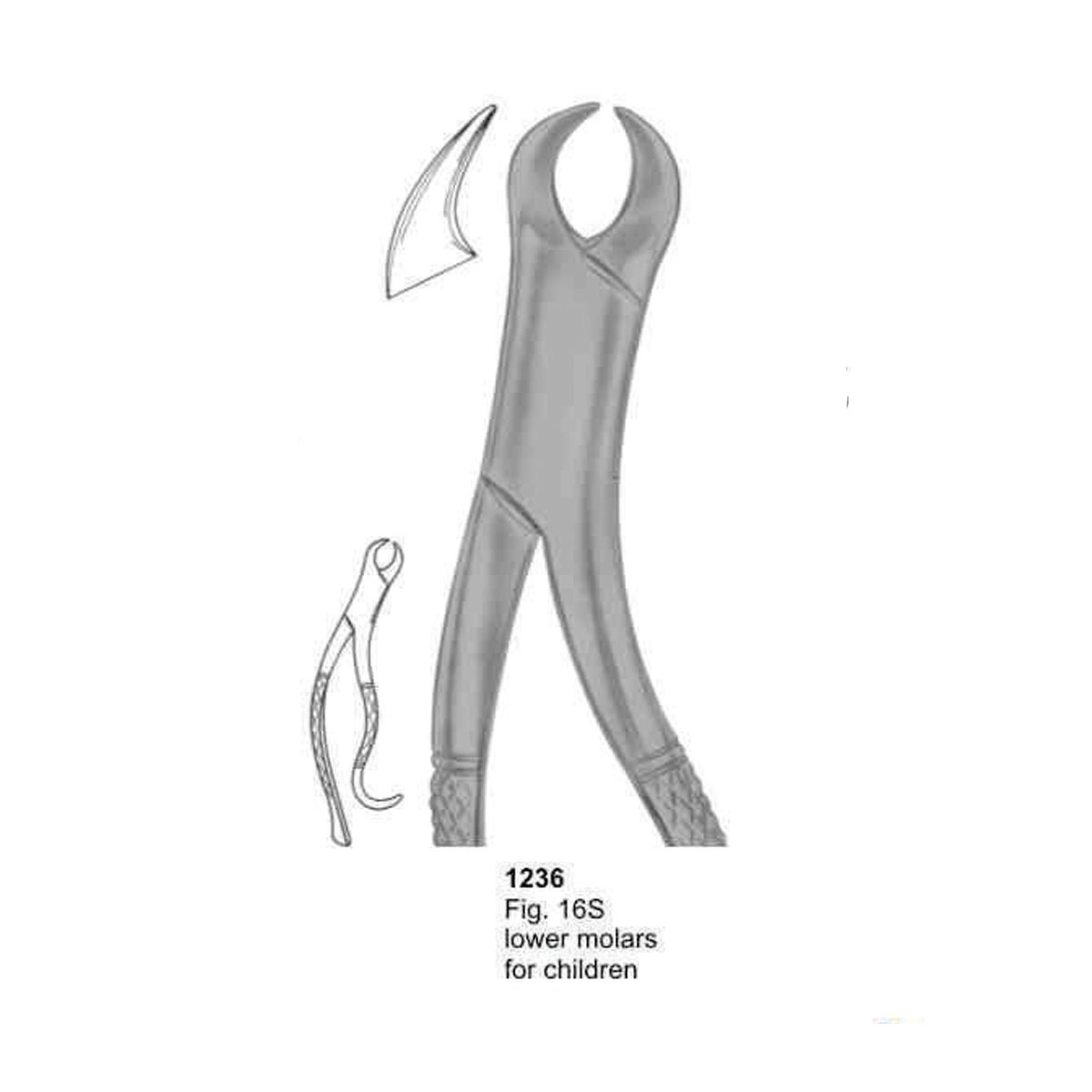 Extracting Forceps (American Pattern)