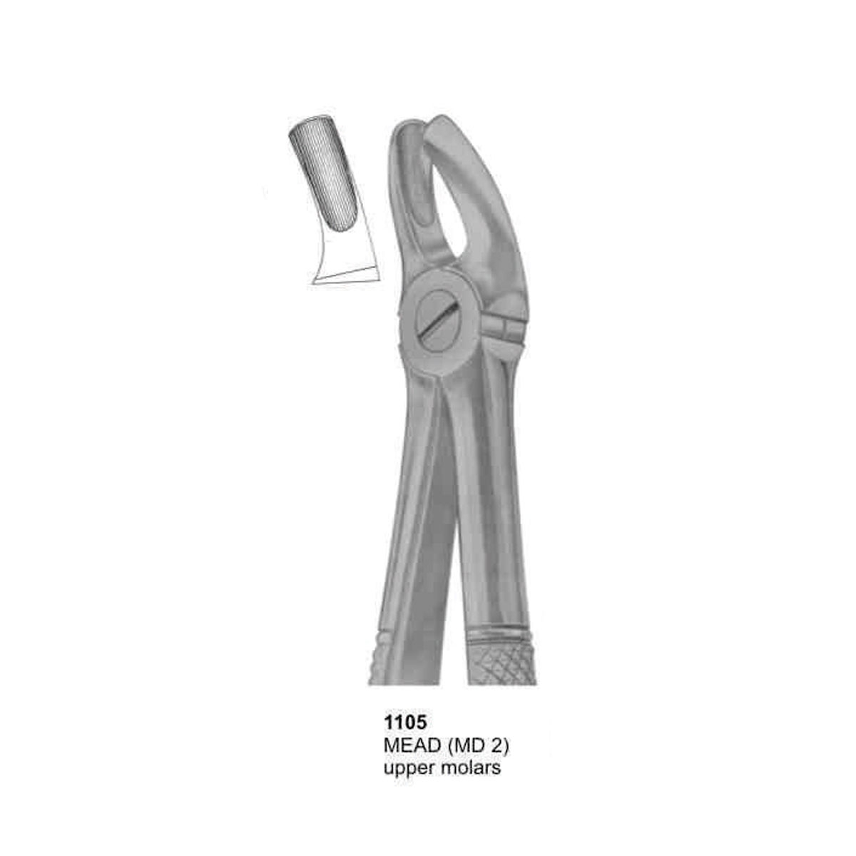 Extracting Forceps (English Pattern)