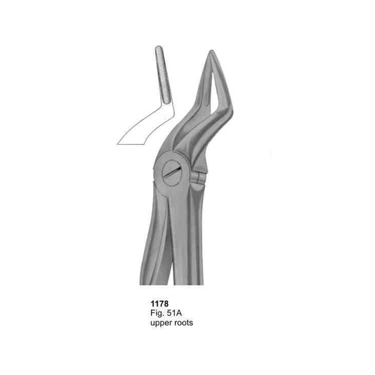 Extracting Forceps (With Fitting Handle)