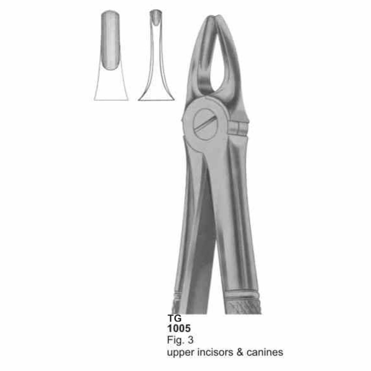 Extracting Forceps (English Pattern)