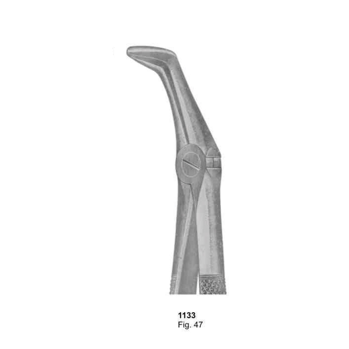 Extracting Forceps (English Pattern)