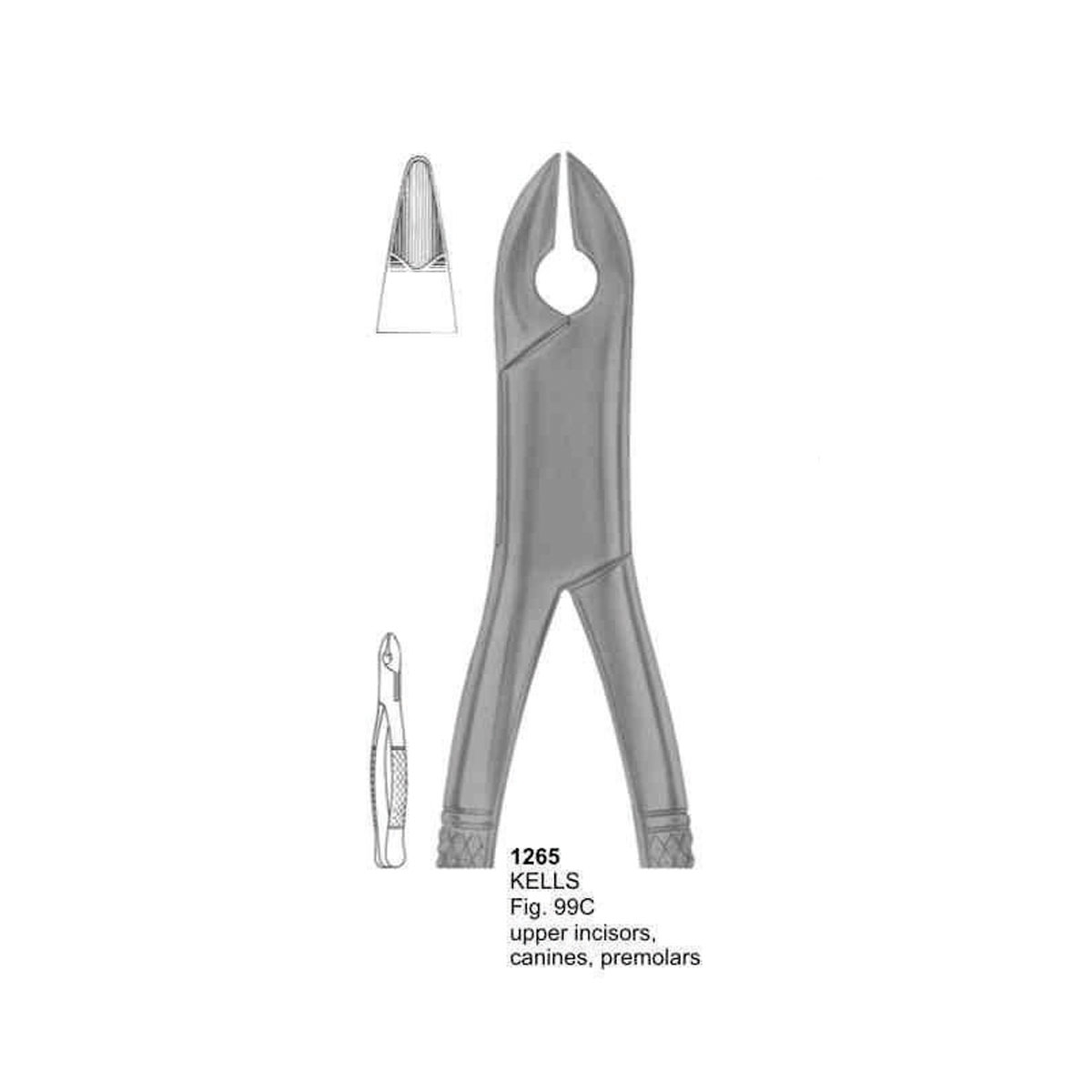 Extracting Forceps (American Pattern) 