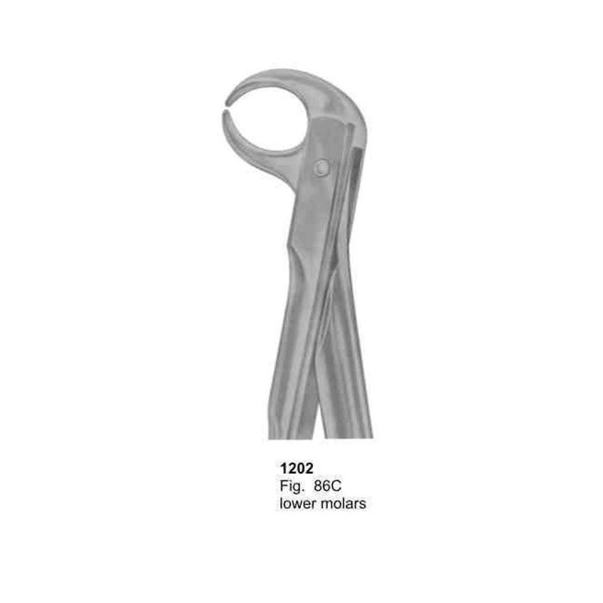 Extracting Forceps (With Fitting Handle)