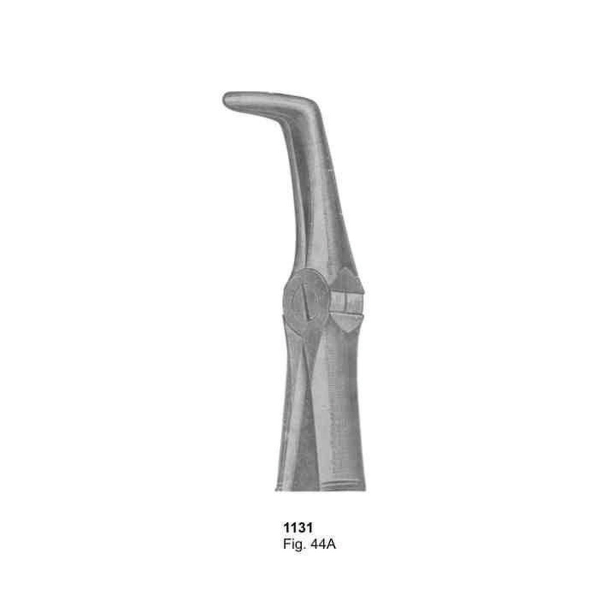 Extracting Forceps (English Pattern)