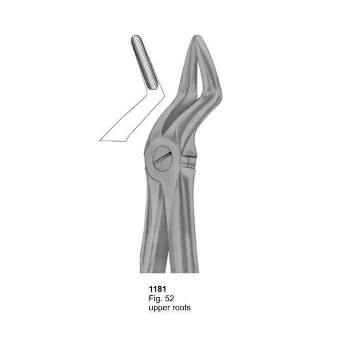 Extracting Forceps (With Fitting Handle)