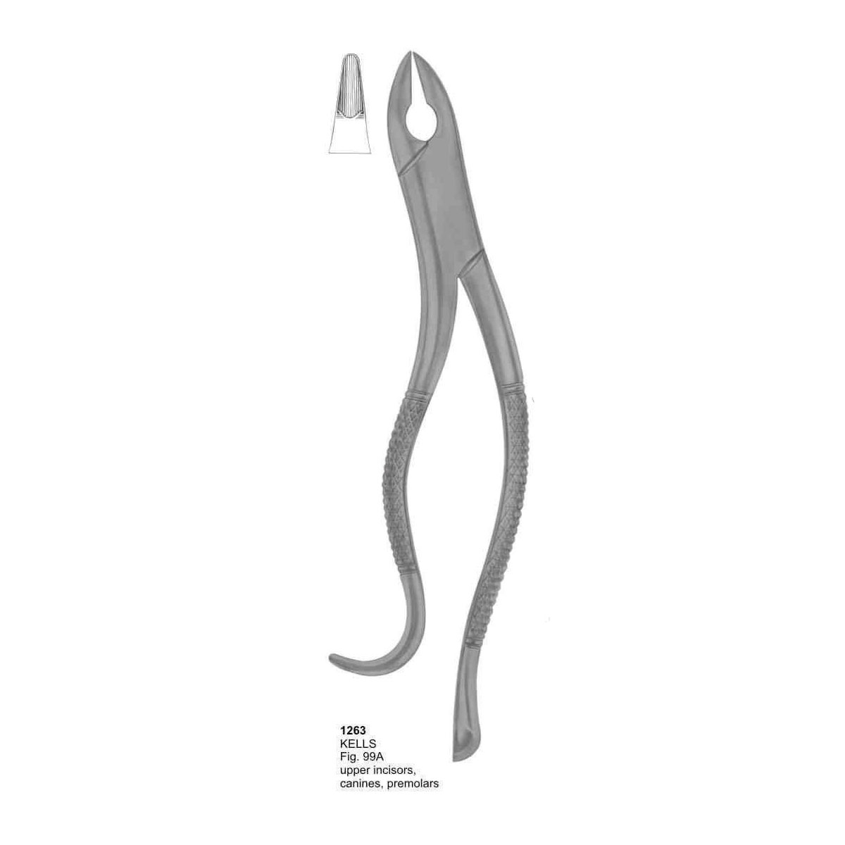 Extracting Forceps (American Pattern) 