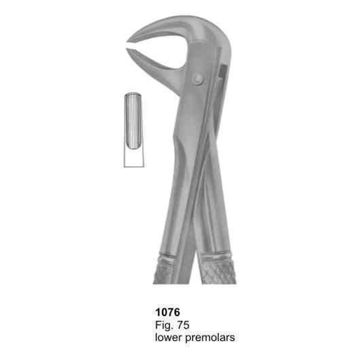 Extracting Forceps (English Pattern)