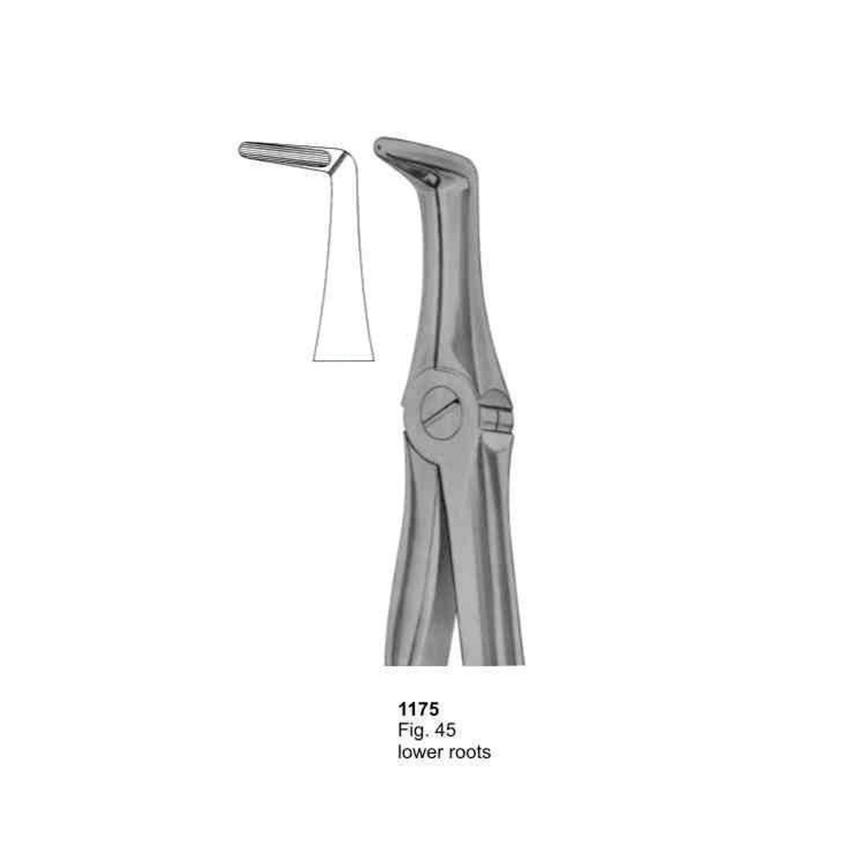 Extracting Forceps (With Fitting Handle)