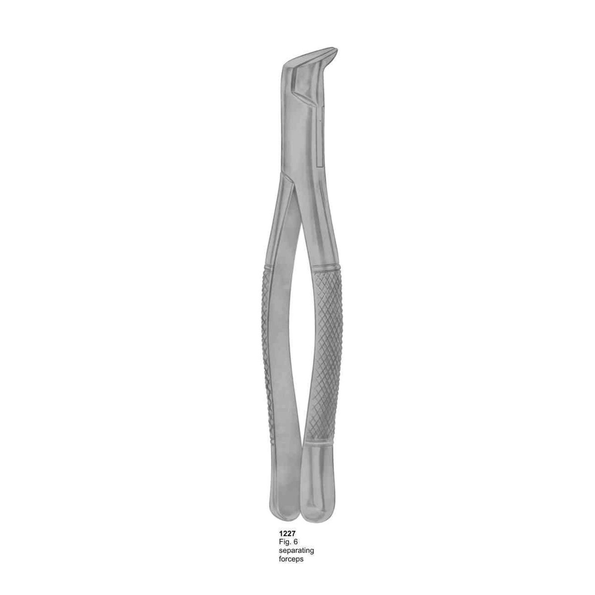 Extracting Forceps (American Pattern)