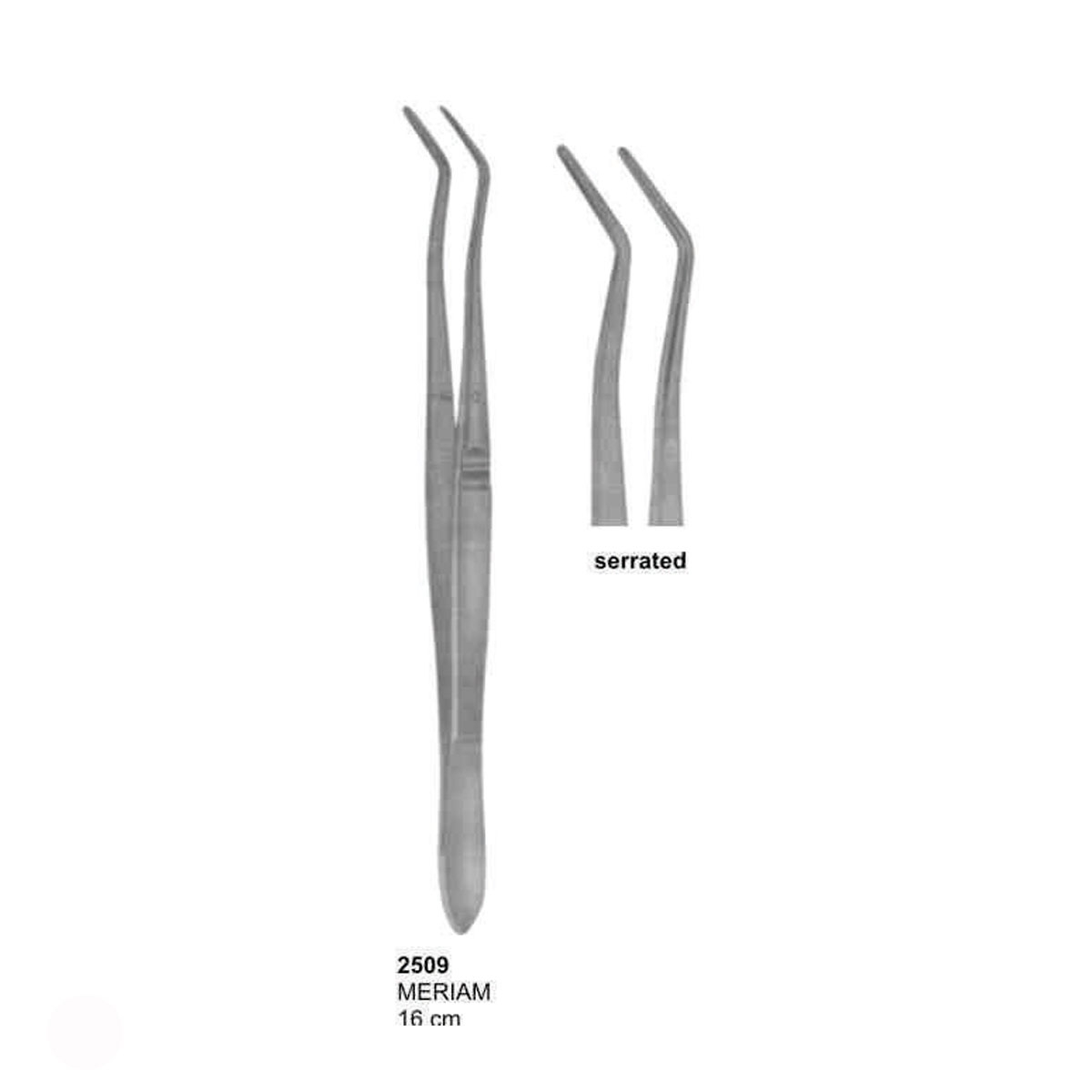 Dental Tweezers