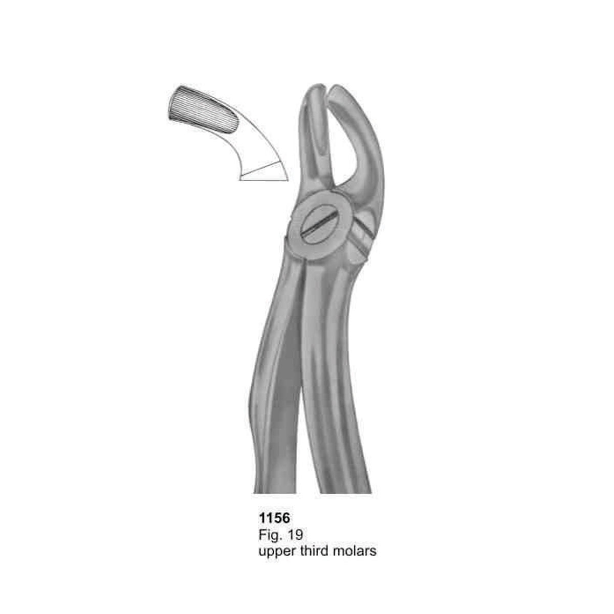 Extracting Forceps (With Fitting Handle)