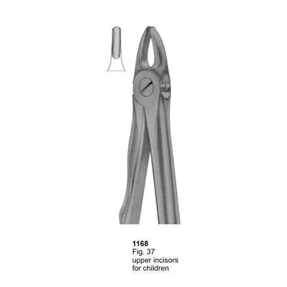 Extracting Forceps (With Fitting Handle)