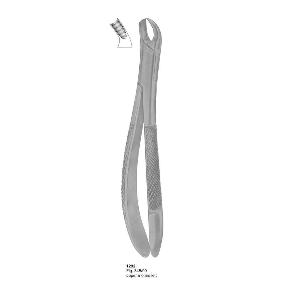 Extracting Forceps (American Pattern)