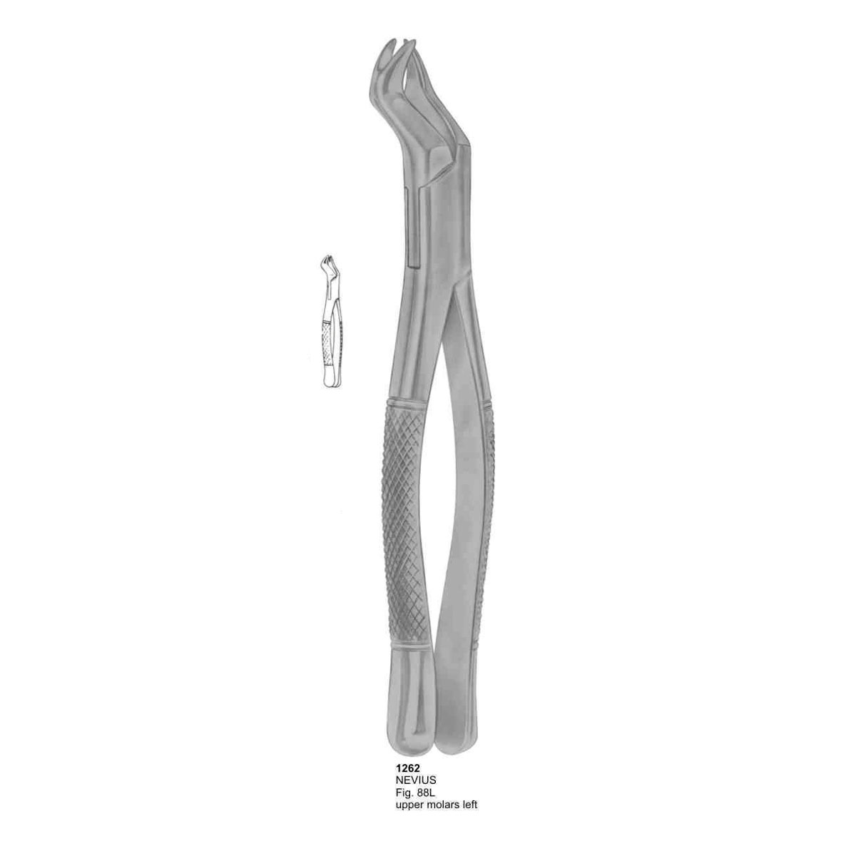 Extracting Forceps (American Pattern) 