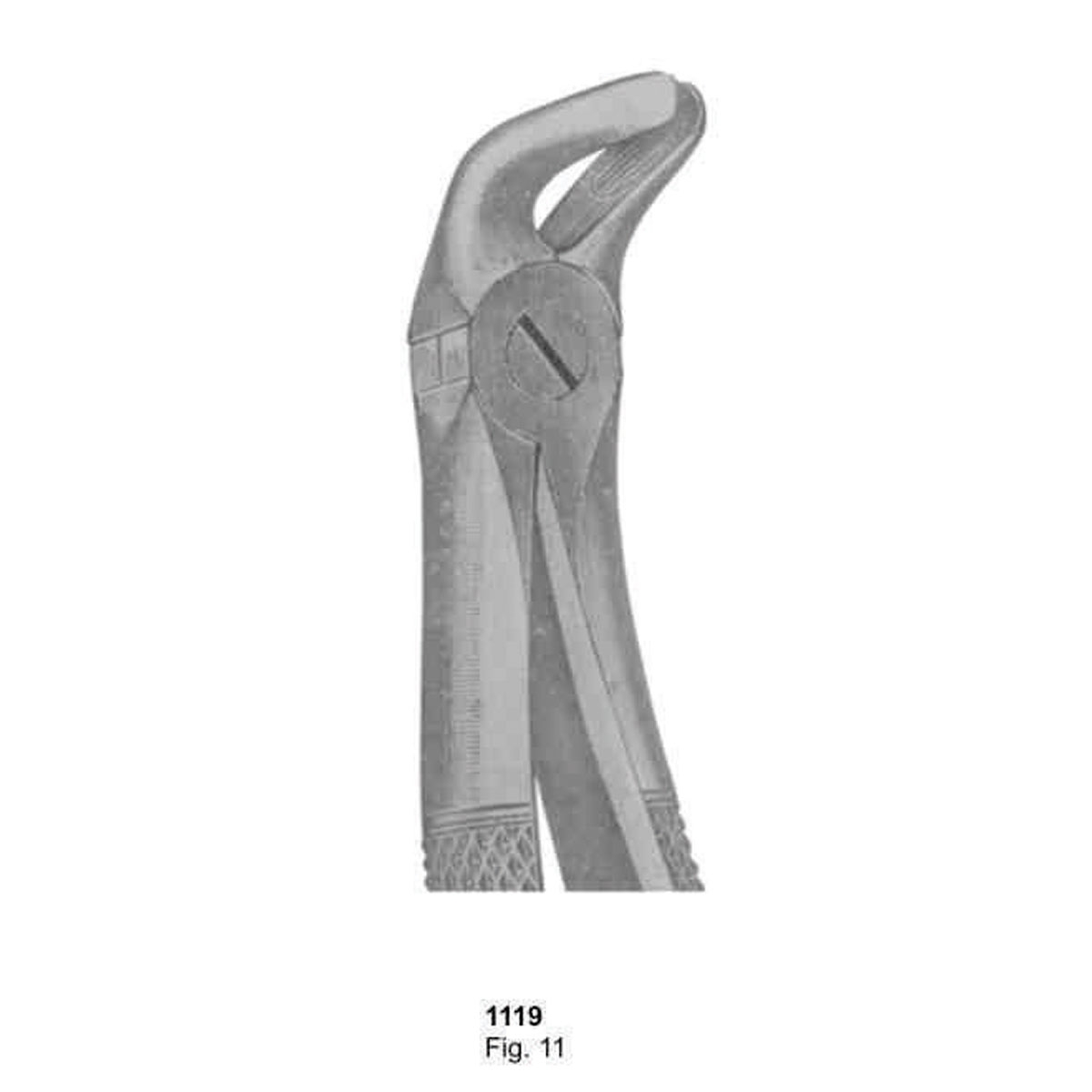 Extracting Forceps (English Pattern)