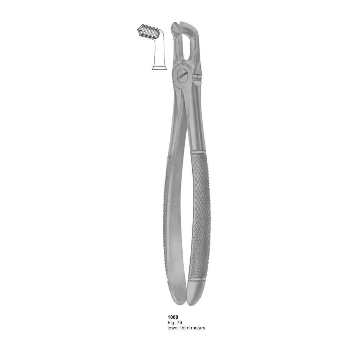 Extracting Forceps (English Pattern)