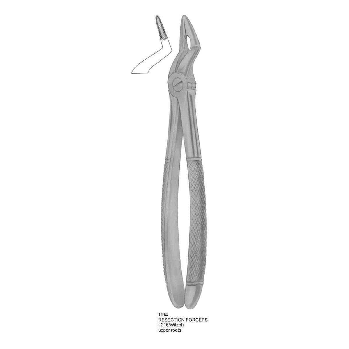 Wisdom Extracting Forceps 