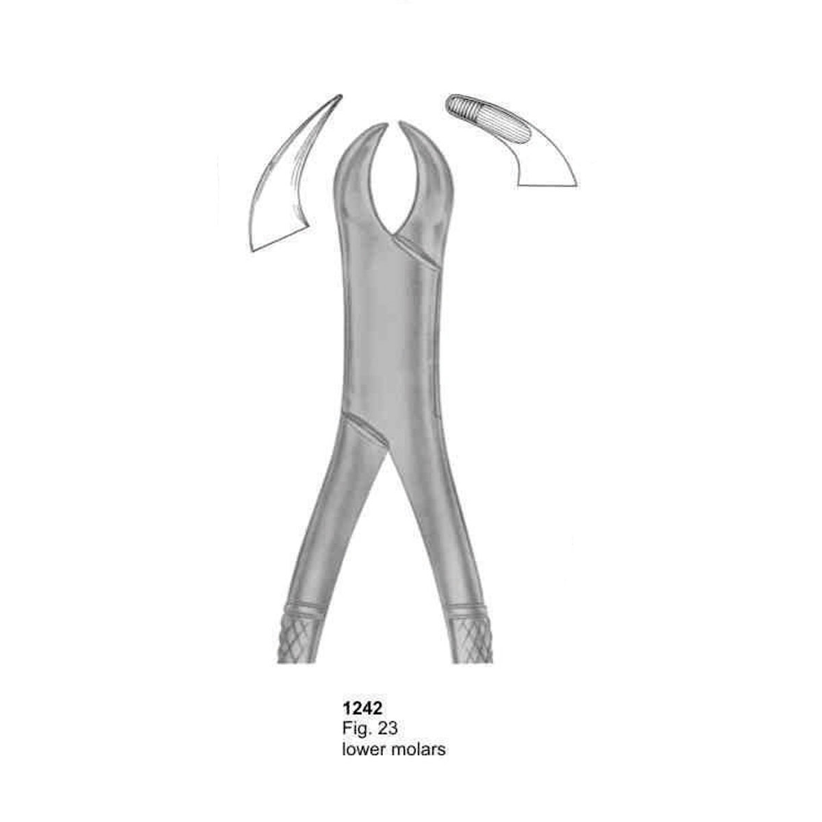 Extracting Forceps (American Pattern)