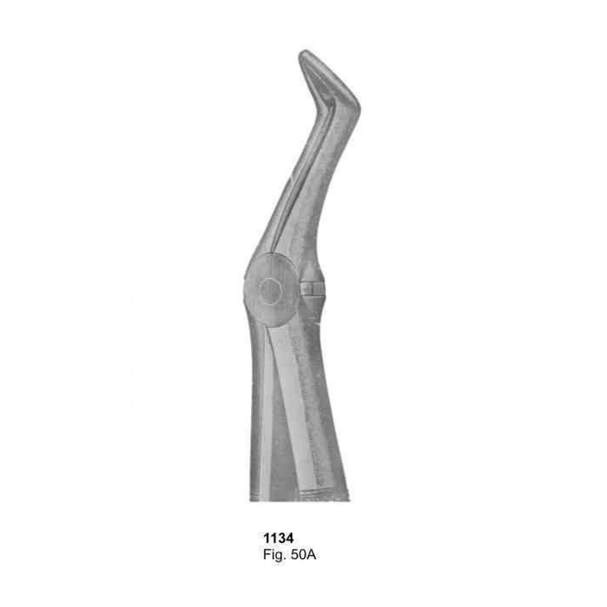 Extracting Forceps (English Pattern)