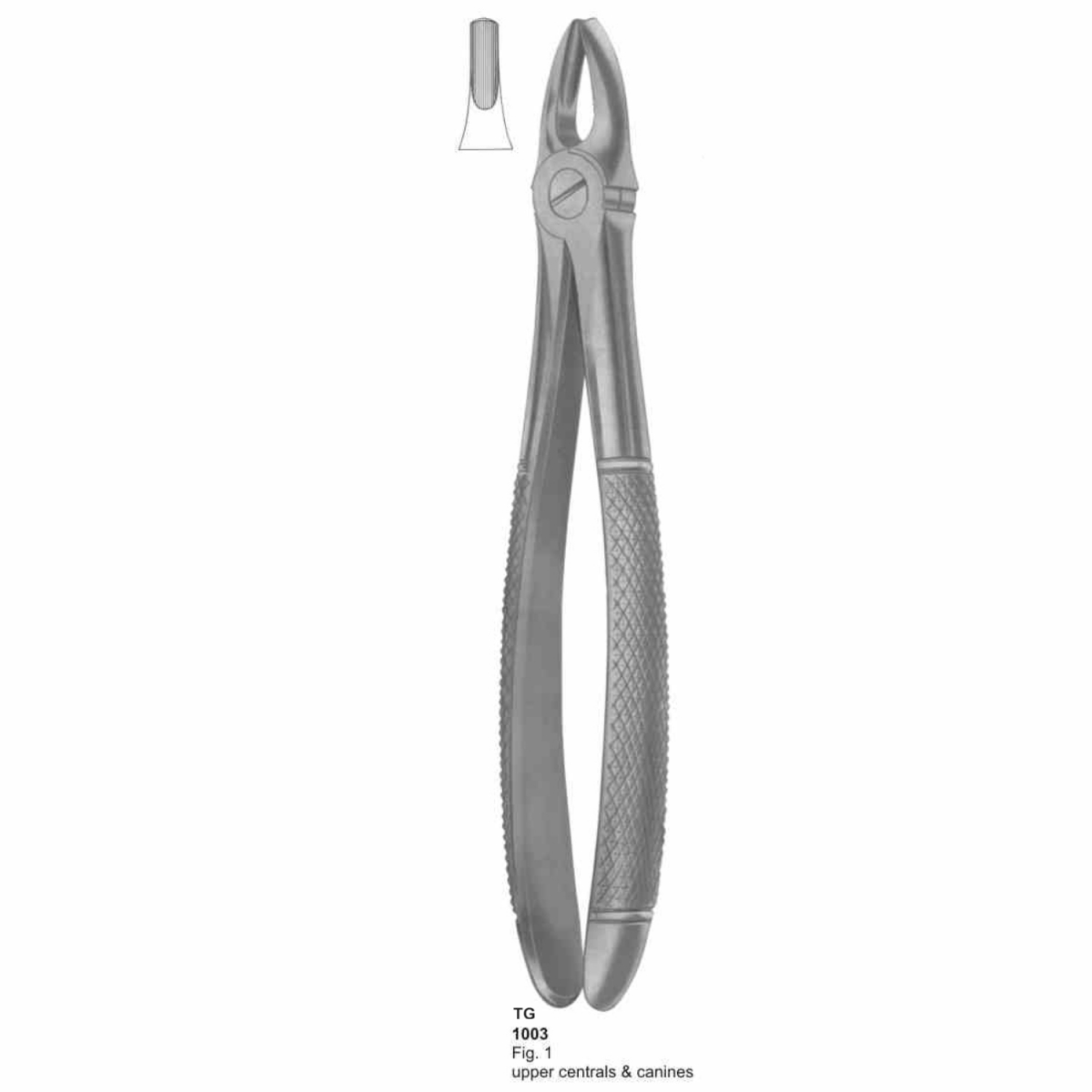 Extracting Forceps (English Pattern)