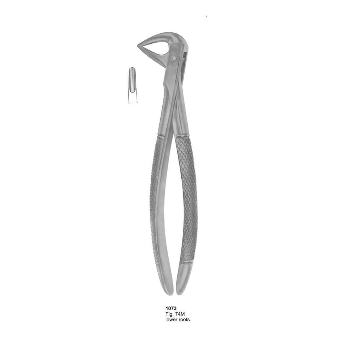 Extracting Forceps (English Pattern)