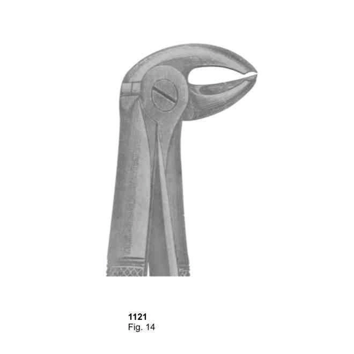 Extracting Forceps (English Pattern)