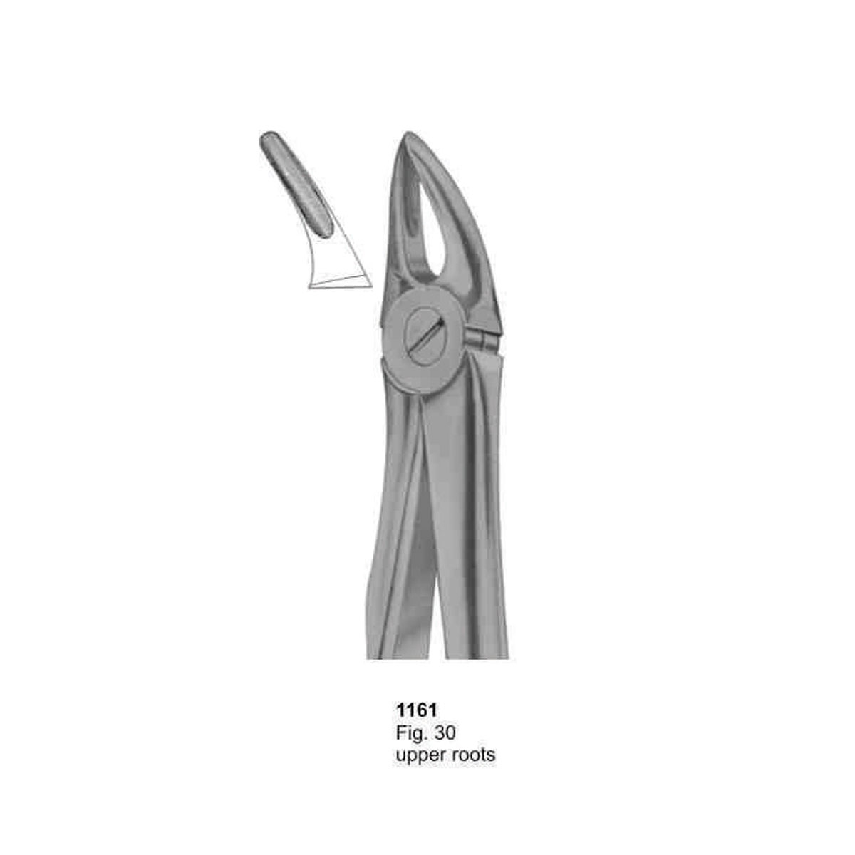 Extracting Forceps (With Fitting Handle)