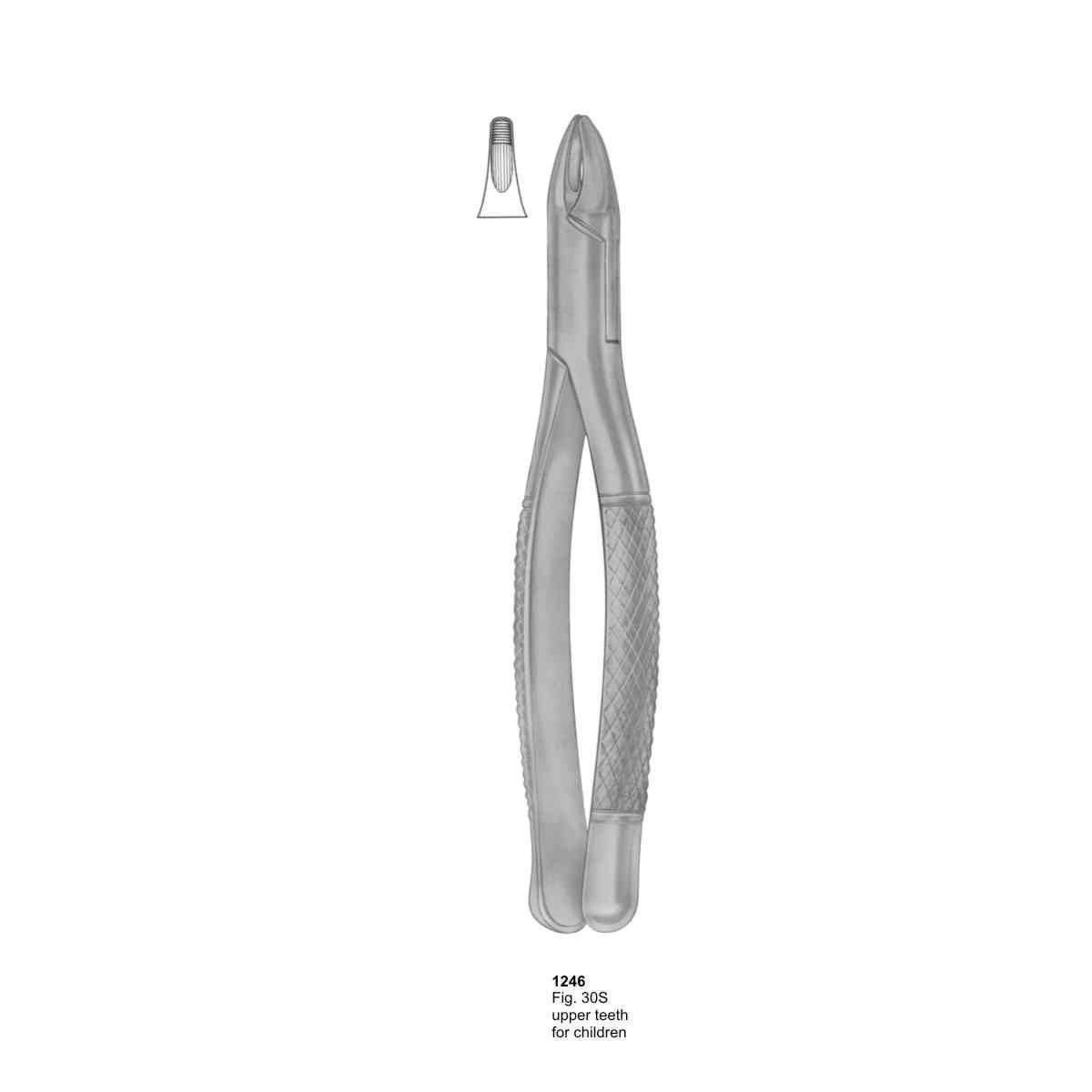 Extracting Forceps (American Pattern)  