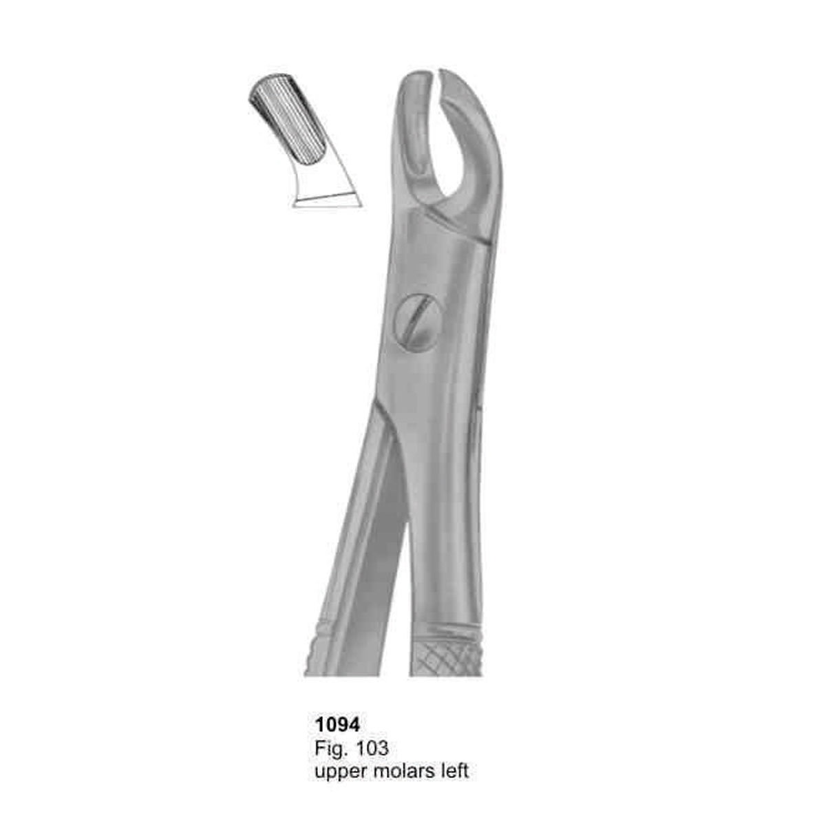 Extracting Forceps (English Pattern)