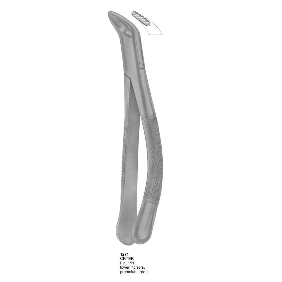 Extracting Forceps (American Pattern) 