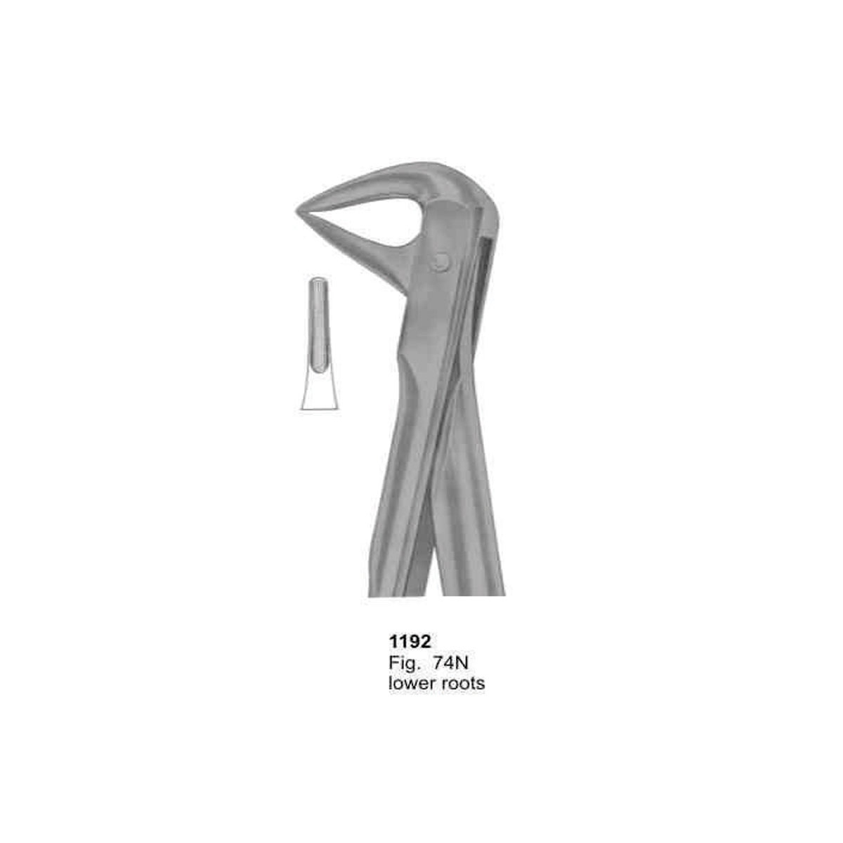 Extracting Forceps (With Fitting Handle)