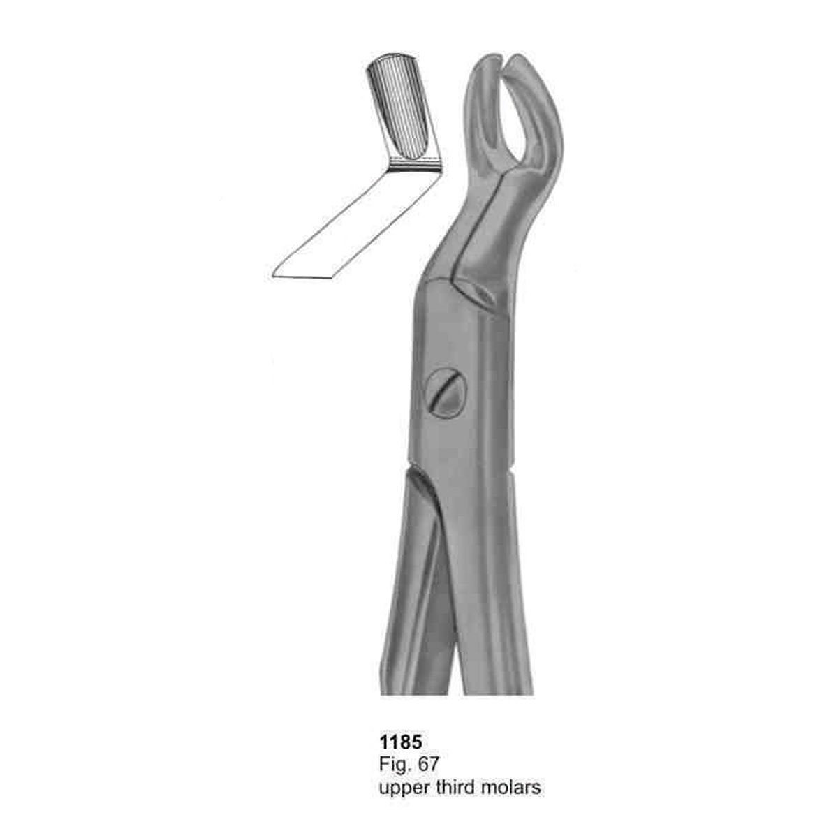 Extracting Forceps (With Fitting Handle)