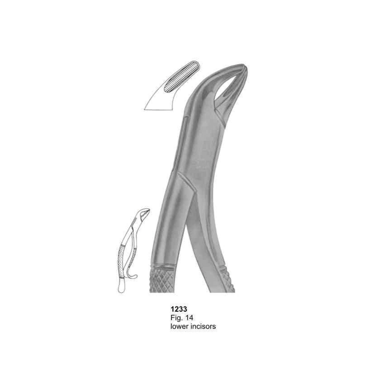 Extracting Forceps (American Pattern)