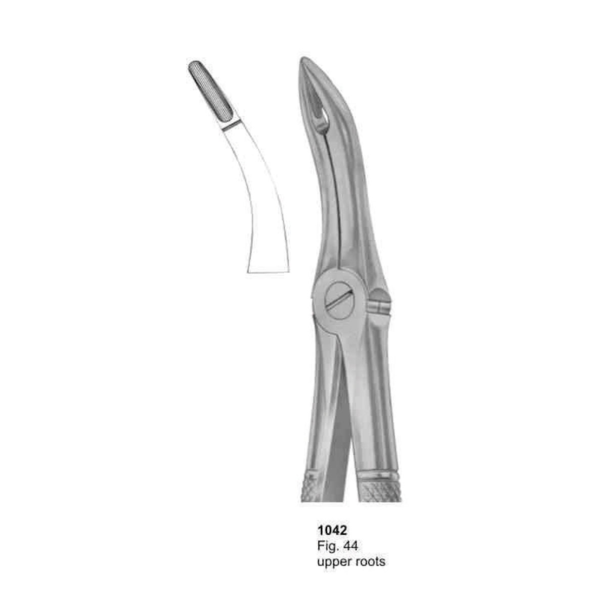 Extracting Forceps (English Pattern) 