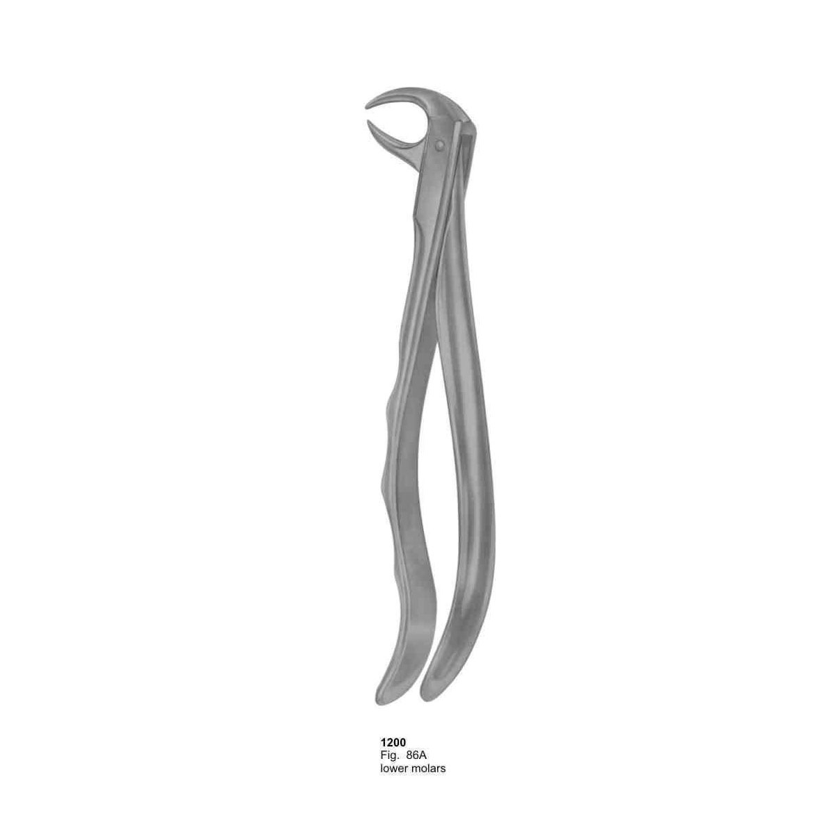 Extracting Forceps (With Fitting Handle)