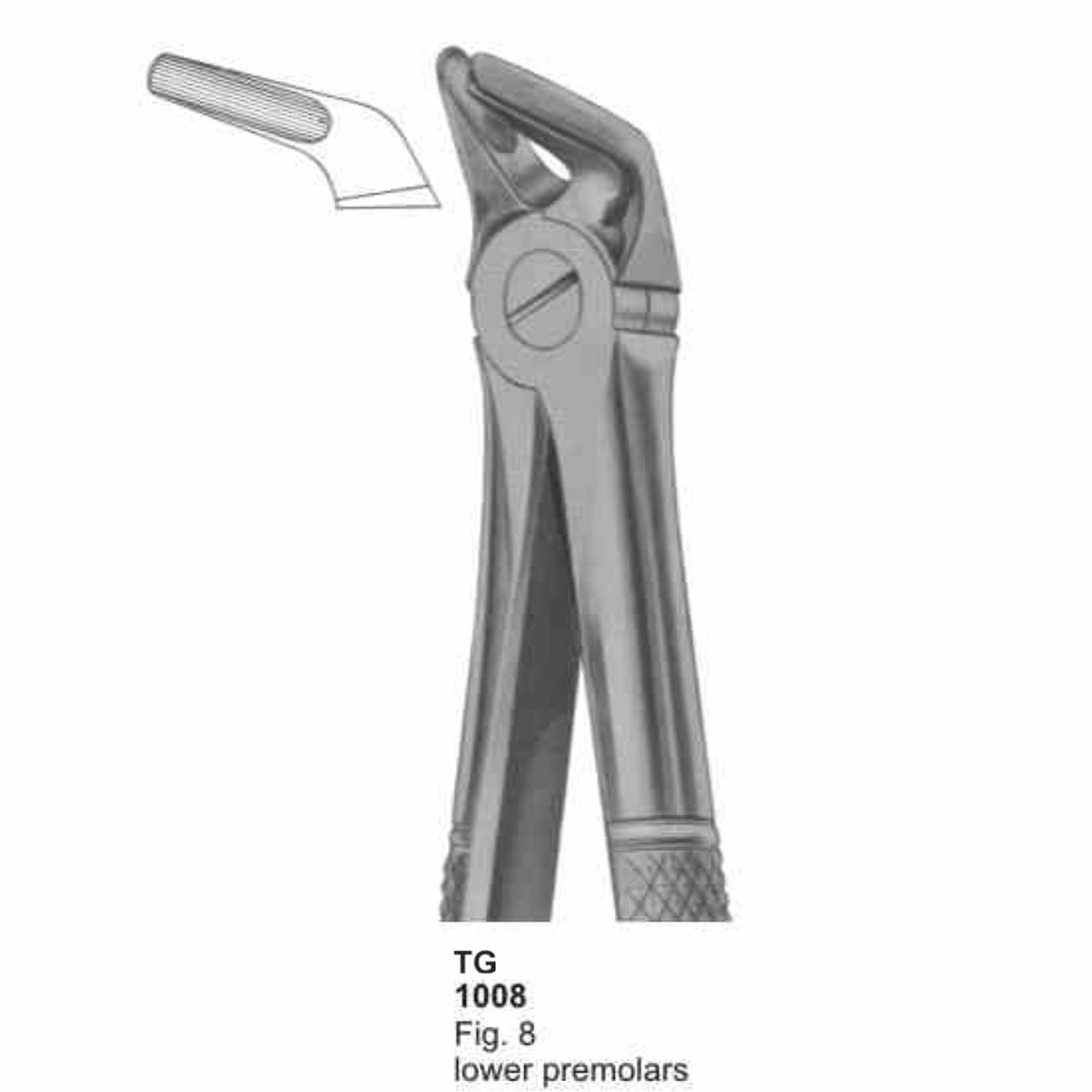 Extracting Forceps (English Pattern)