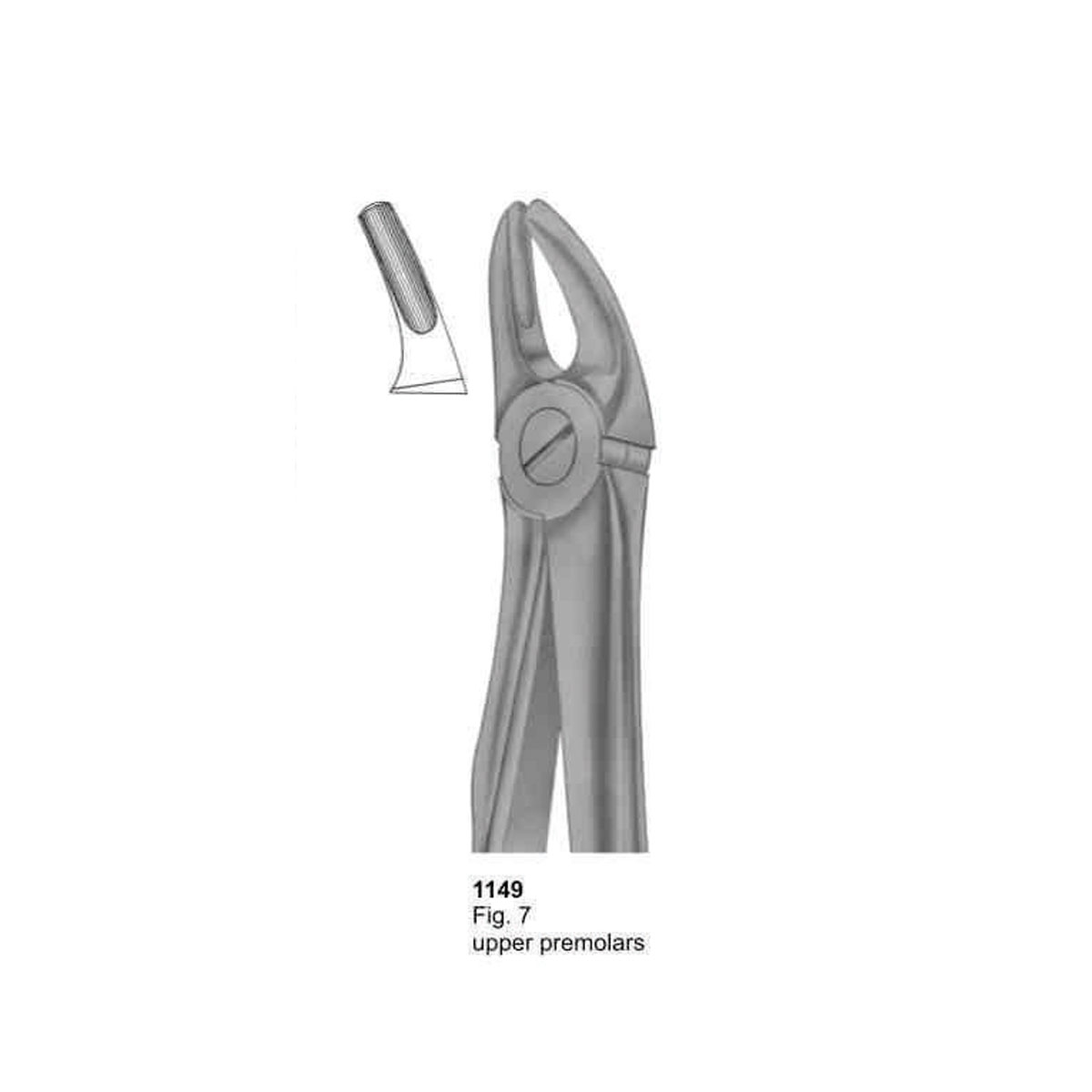 Extracting Forceps (With Fitting Handle)