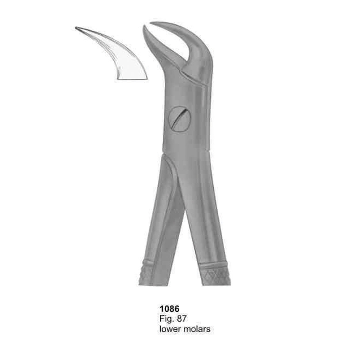 Extracting Forceps (English Pattern)